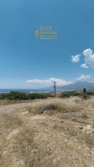 Οικόπεδο 22.000 τ.μ. για πώληση, Ν. Λασιθίου, Μακρύς Γιαλός-thumb-17