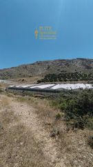 Οικόπεδο 22.000 τ.μ. για πώληση, Ν. Λασιθίου, Μακρύς Γιαλός-thumb-18