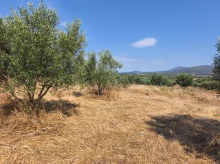 Μονοκατοικία 40 τ.μ. για πώληση