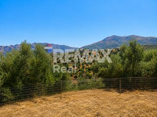 Αγροτεμάχια 3.000 τ.μ. για πώληση, Ν. Λασιθίου, Σητεία-thumb-4