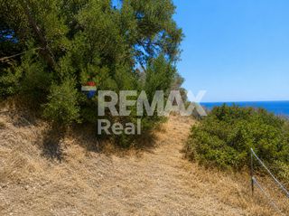 Αγροτεμάχια 3.000 τ.μ. για πώληση, Ν. Λασιθίου, Σητεία-thumb-3