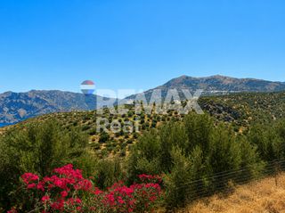 Αγροτεμάχια 3.000 τ.μ. για πώληση, Ν. Λασιθίου, Σητεία-thumb-5