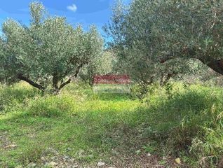 Αγροτεμάχια 407 τ.μ. για πώληση