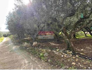 Αγροτεμάχια 554 τ.μ. για πώληση