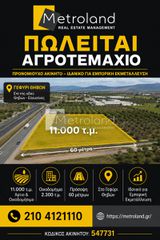 Αγροτεμάχια 11.500 τ.μ. για πώληση