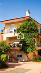 Μεζονέτα 220 τ.μ. για ενοικίαση