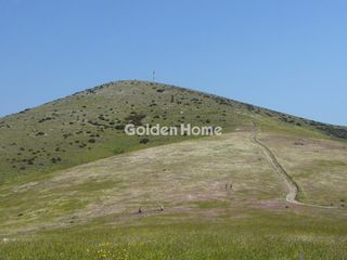 Αγροτεμάχια 4.529 τ.μ. για πώληση