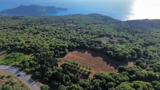 Αγροτεμάχια 22.470 τ.μ. για πώληση