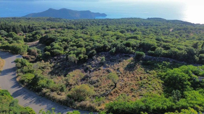 Αγροτεμάχια 5.178 τ.μ. πρός πώληση, Ν. Κεφαλονιάς, Κεφαλονιά