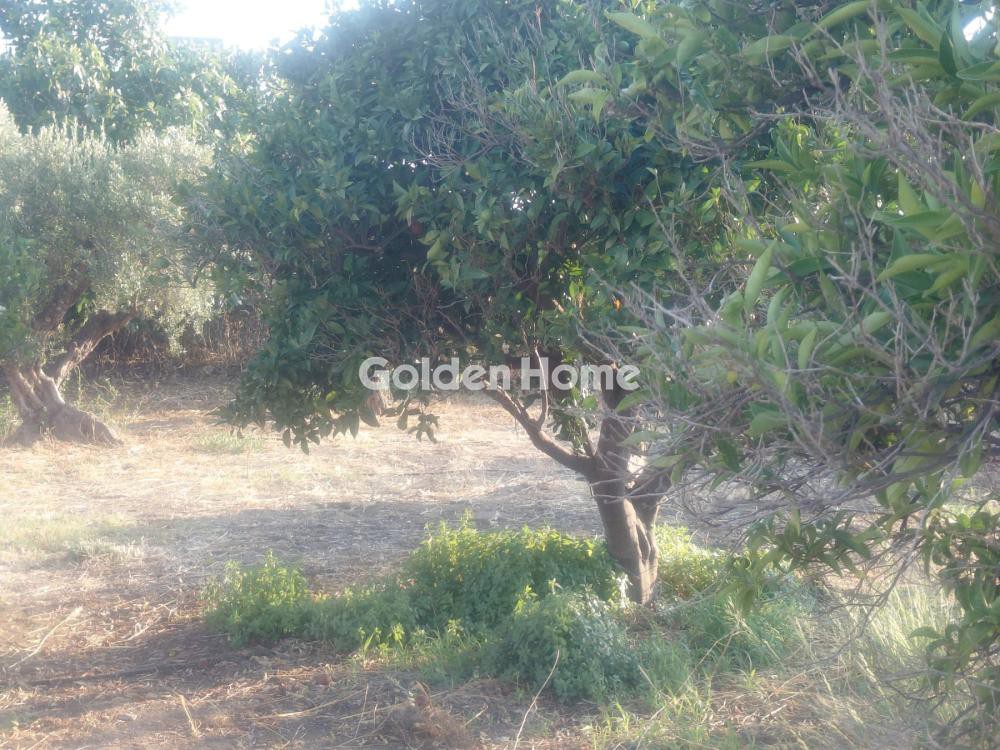 Οικόπεδο 1.250 τ.μ. προς πώληση, Λουτράκι Κορινθίας