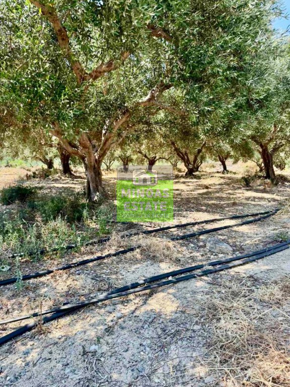 Οικόπεδο 1.528 τ.μ. πρός πώληση, Θεσσαλονίκη - Κέντρο, Κέντρο