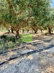 Οικόπεδο 1.528 τ.μ. πρός πώληση, Θεσσαλονίκη - Κέντρο, Κέντρο-thumb-4