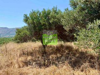 Οικόπεδο 1.528 τ.μ. πρός πώληση, Θεσσαλονίκη - Κέντρο, Κέντρο-thumb-17