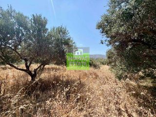 Οικόπεδο 1.528 τ.μ. πρός πώληση, Θεσσαλονίκη - Κέντρο, Κέντρο-thumb-2