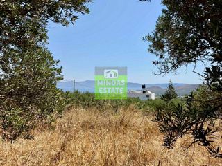 Οικόπεδο 1.528 τ.μ. πρός πώληση, Θεσσαλονίκη - Κέντρο, Κέντρο-thumb-1
