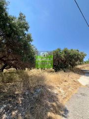 Οικόπεδο 1.528 τ.μ. πρός πώληση, Θεσσαλονίκη - Κέντρο, Κέντρο-thumb-13
