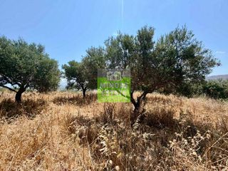 Οικόπεδο 1.528 τ.μ. πρός πώληση, Θεσσαλονίκη - Κέντρο, Κέντρο-thumb-6