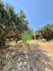 Οικόπεδο 1.528 τ.μ. πρός πώληση, Θεσσαλονίκη - Κέντρο, Κέντρο-thumb-12