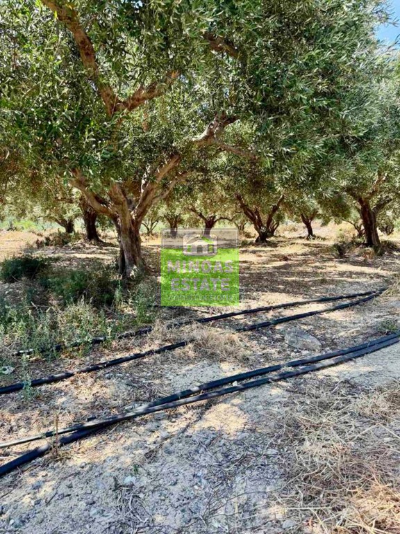 Οικόπεδο 1.528 τ.μ. πρός πώληση, Θεσσαλονίκη - Κέντρο, Κέντρο