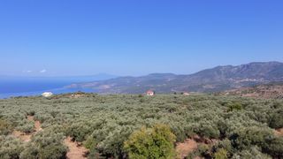 Οικόπεδο 785,05 τ.μ. προς πώληση, Λεύκτρος-thumb-3