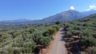 Οικόπεδο 785,05 τ.μ. προς πώληση, Λεύκτρος-thumb-1