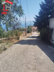 Οικόπεδο 4.309 τ.μ. για πώληση