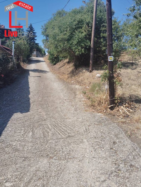 Οικόπεδο 4.309 τ.μ. πρός πώληση, Κορινθία, Ευρωστίνη