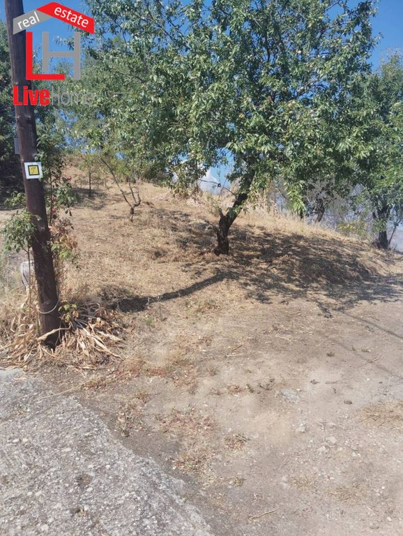 Οικόπεδο 4.309 τ.μ. πρός πώληση, Κορινθία, Ευρωστίνη