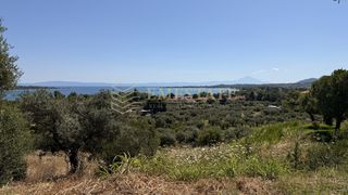 Οικόπεδο 1.700 τ.μ. για πώληση