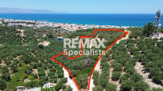 Οικόπεδο 3.251,59 τ.μ. για πώληση
