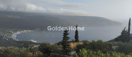 Αγροτεμάχια 11.000 τ.μ. προς πώληση