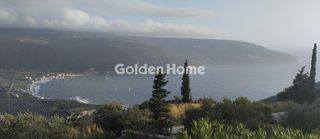 Αγροτεμάχια 11.000 τ.μ. για πώληση