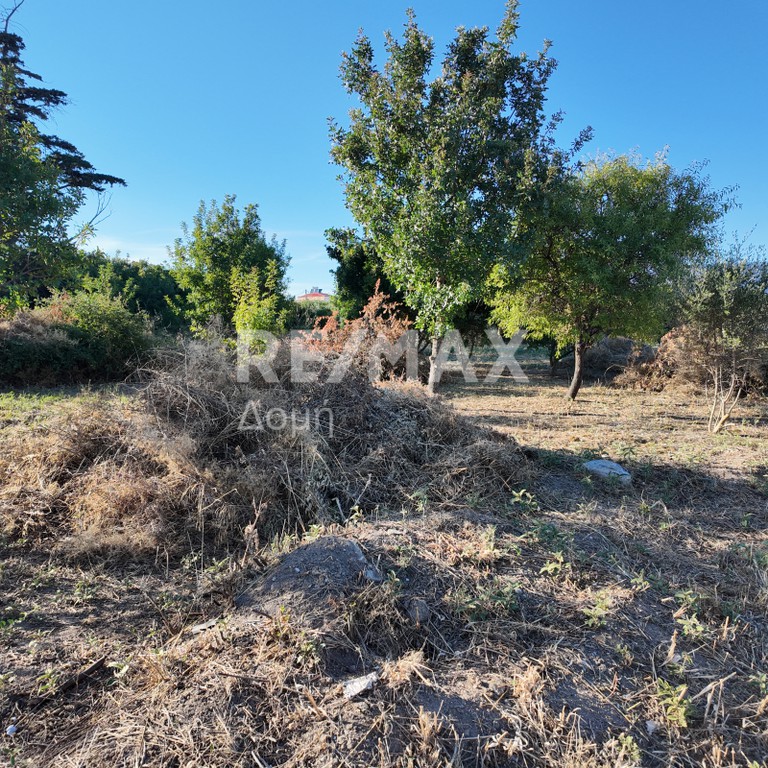 Οικόπεδο 250 τ.μ. προς πώληση, Νέες Παγασές
