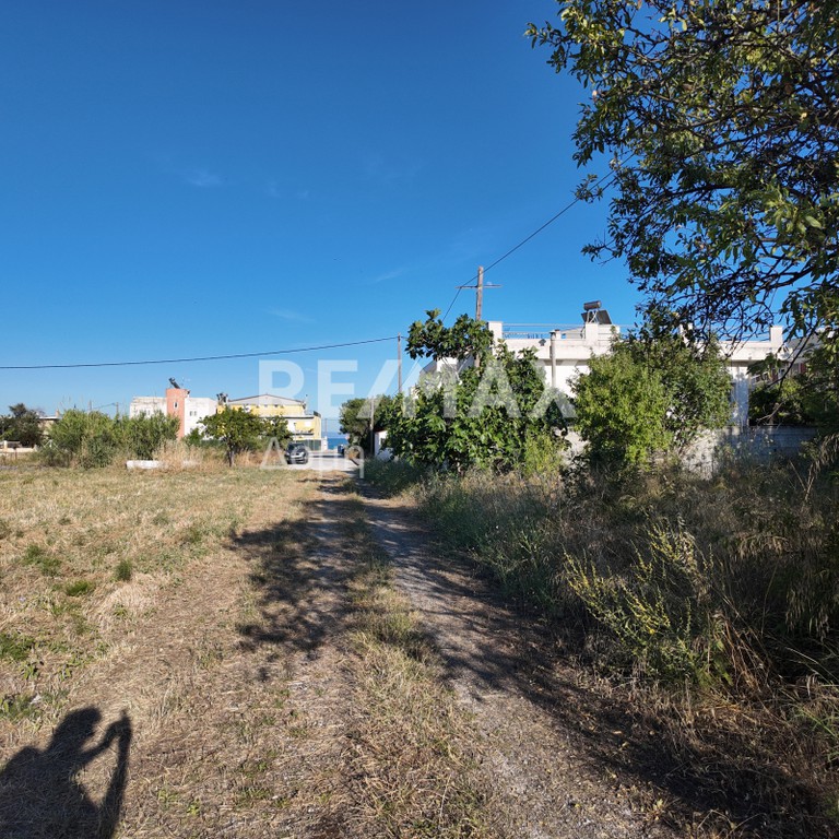 Οικόπεδο 250 τ.μ. προς πώληση, Νέες Παγασές