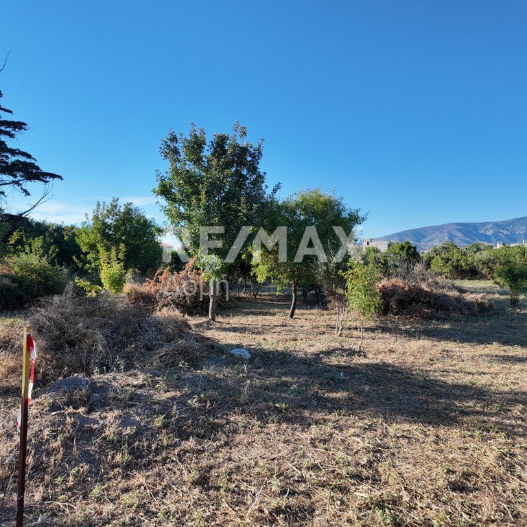 Οικόπεδο 250 τ.μ. προς πώληση, Νέες Παγασές