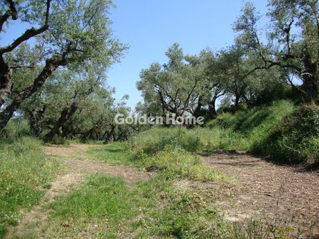 Parcel 10.200 sqm for sale