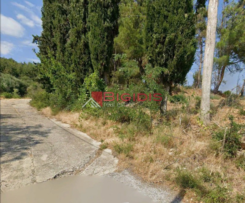 Οικόπεδο 3.300 τ.μ. για πώληση, Ν. Σερρών, Σιδηρόκαστρο