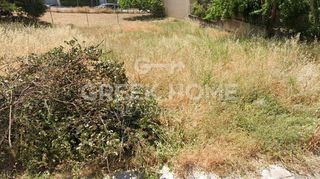 Αγροτεμάχια 240 τ.μ. για πώληση