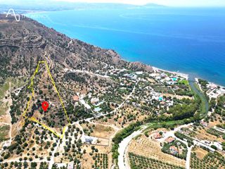 Οικόπεδο 17.500 τ.μ. για πώληση, Ν. Ρεθύμνου, Ρέθυμνο-thumb-25