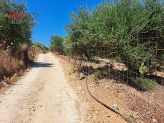 Αγροτεμάχια 4.165 τ.μ. προς πώληση, Κεράμια-thumb-8