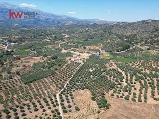 Αγροτεμάχια 4.165 τ.μ. προς πώληση, Κεράμια-thumb-6