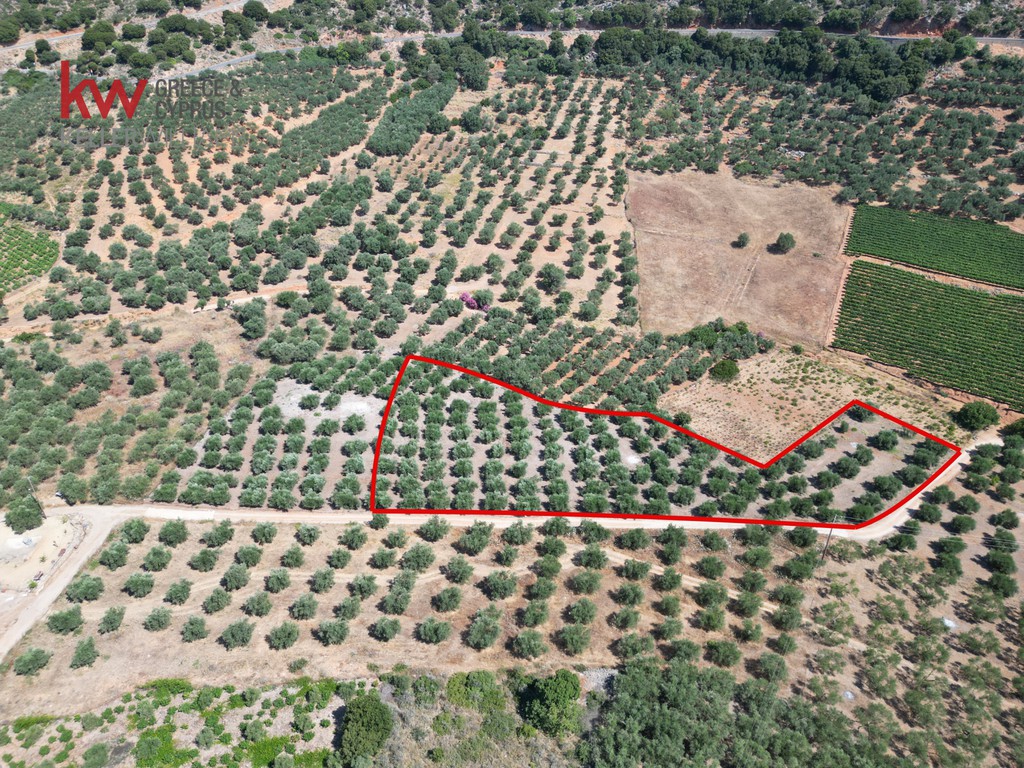 Αγροτεμάχια 4.165 τ.μ. προς πώληση, Κεράμια