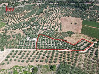 Αγροτεμάχια 4.165 τ.μ. προς πώληση, Κεράμια-thumb-1