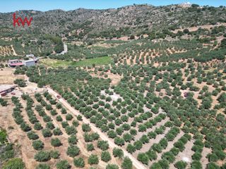 Αγροτεμάχια 4.165 τ.μ. προς πώληση, Κεράμια-thumb-7