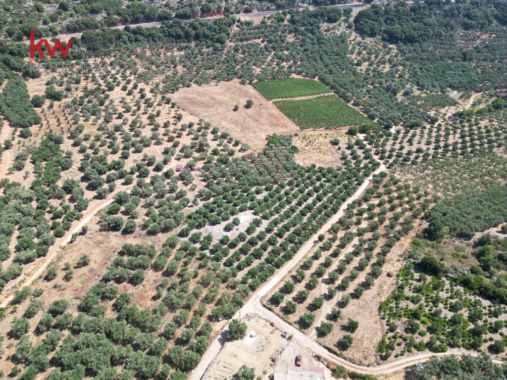 Αγροτεμάχια 4.165 τ.μ. προς πώληση, Κεράμια