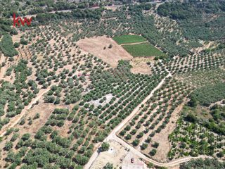 Αγροτεμάχια 4.165 τ.μ. προς πώληση, Κεράμια-thumb-3