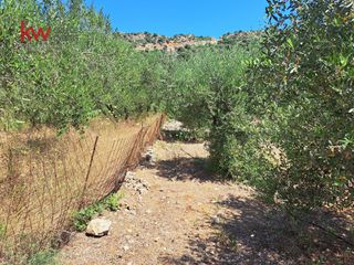 Αγροτεμάχια 4.165 τ.μ. προς πώληση, Κεράμια-thumb-9
