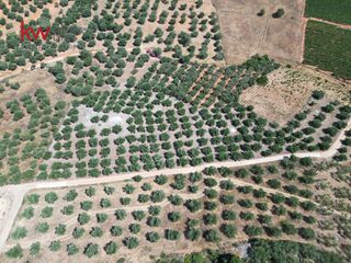 Αγροτεμάχια 4.165 τ.μ. προς πώληση, Κεράμια-thumb-2