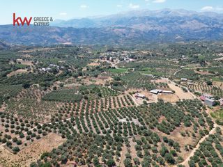 Αγροτεμάχια 4.165 τ.μ. προς πώληση, Κεράμια-thumb-4