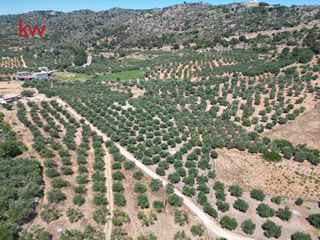Αγροτεμάχια 4.165 τ.μ. για πώληση